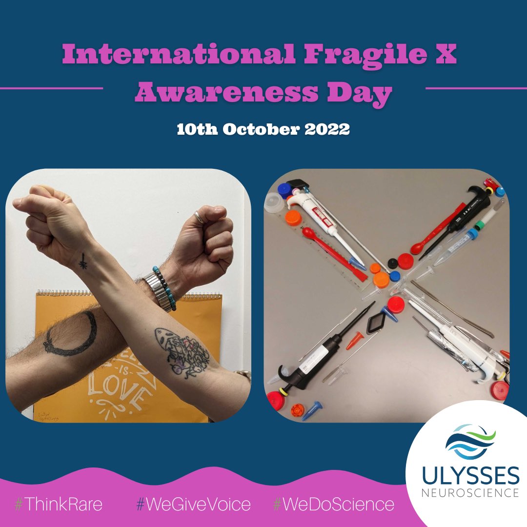 ✨ Today is International Fragile X Awareness Day. ✨

👉 Did you know that approx. 1:5000 men and 1:4000-8000 women are living with Fragile X Syndrome?

👉 Approx. 1:250-800 men and 1:130-250 women are Fragile X Premutation Carriers.