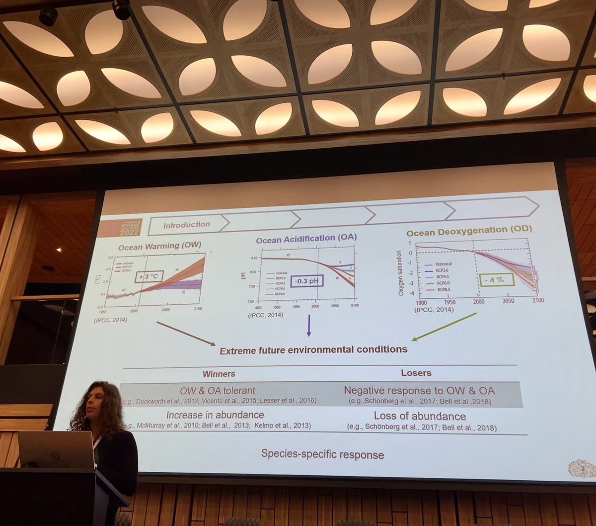 Sponge_2022 tweet media