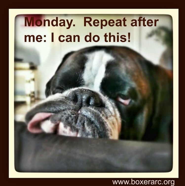 And just like that it’s Monday... Have a great day everyone! #MondayMorning  #Gamlet #work