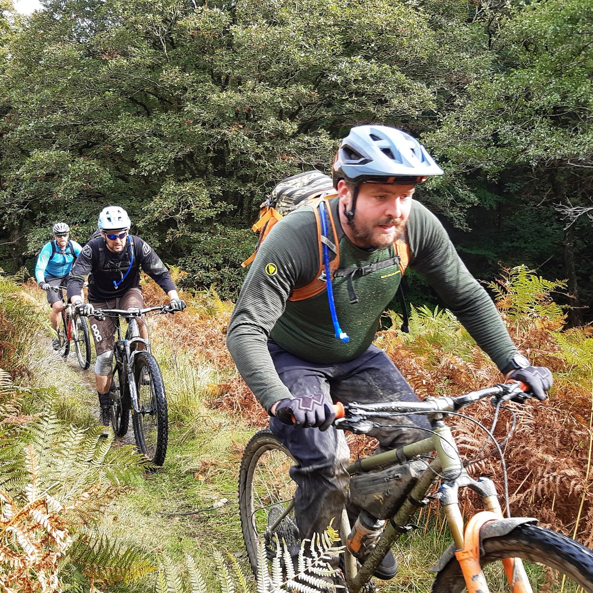 MTBleading's tweet photo. Final day through the Cambrian Mountains is always a brilliant ride and an enjoyable challenge, especially in great autumn light.
#transcambrian #mtbleadership @mtbcymru https://t.co/ws3Tx2JMD8