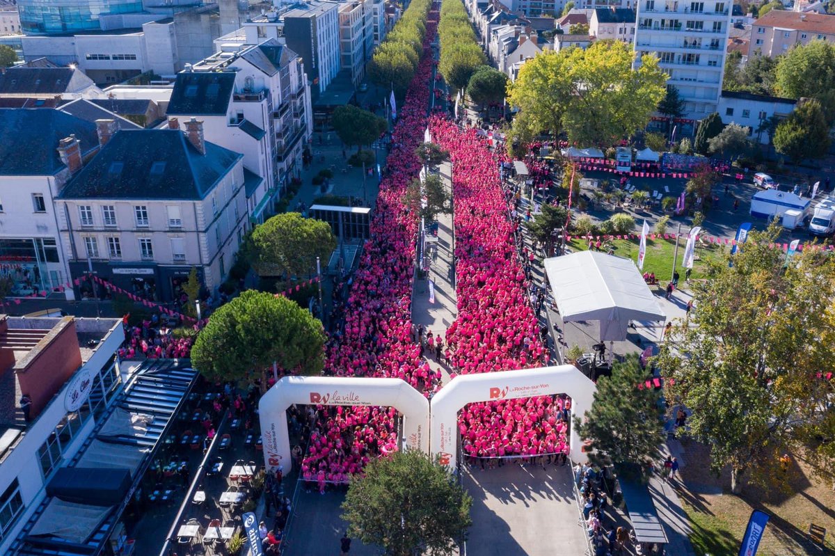 Beatrice Bellamy tweet media