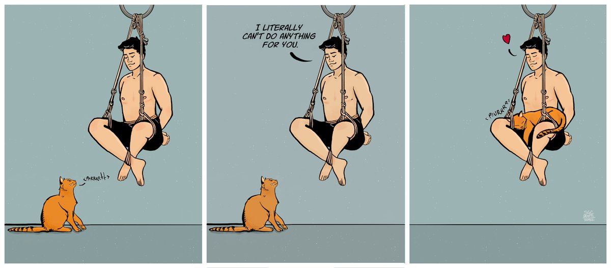 SGCdrafts's tweet photo. Shibari + Cats #2 https://t.co/Xkv6LqmKVu