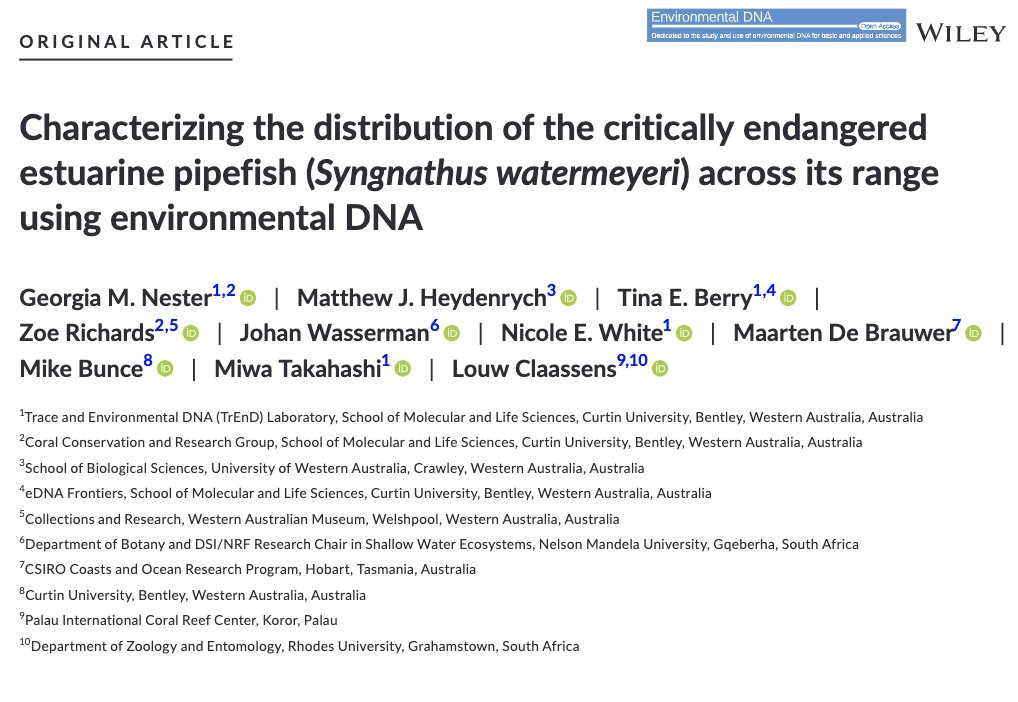 gnester's tweet photo. Characterising the distribution of the critically #endangered Estuarine #pipefish using #eDNA. We add to evidence that local extinctions have occurred, detecting the species in 2 of 5 estuaries in its historical range in South Africa. https://t.co/LYa4BtTisV https://t.co/jgu4BJNlY0