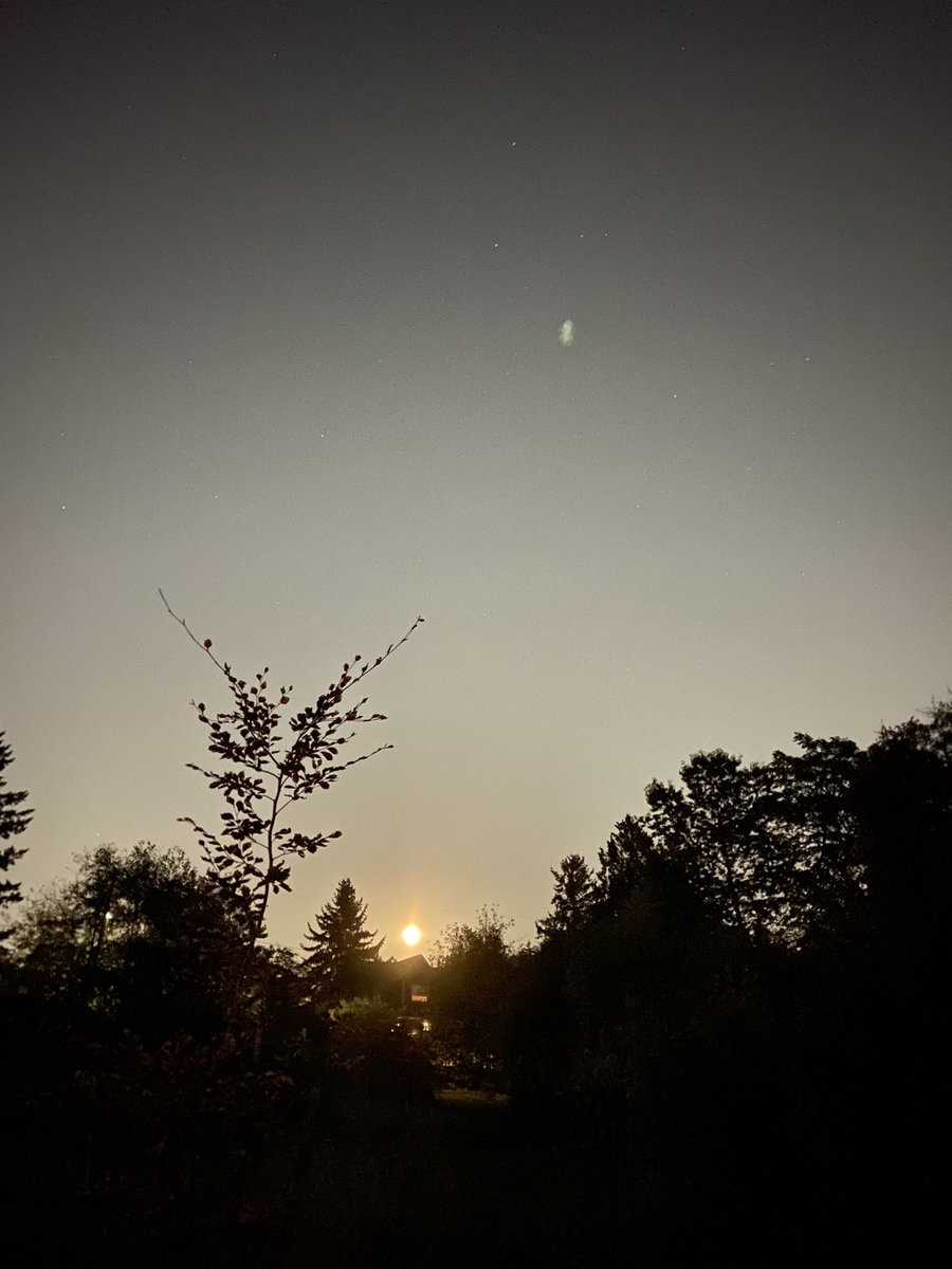TimothySchaar's tweet photo. Hunter Full Moon &amp; Jupiter https://t.co/ZxkXPPrmFy