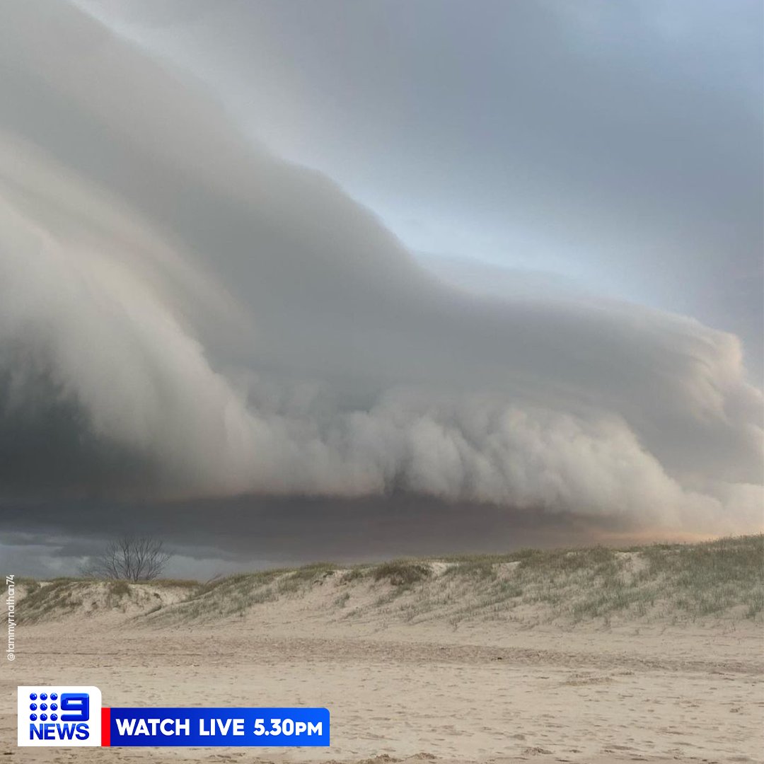 9News Gold Coast tweet media