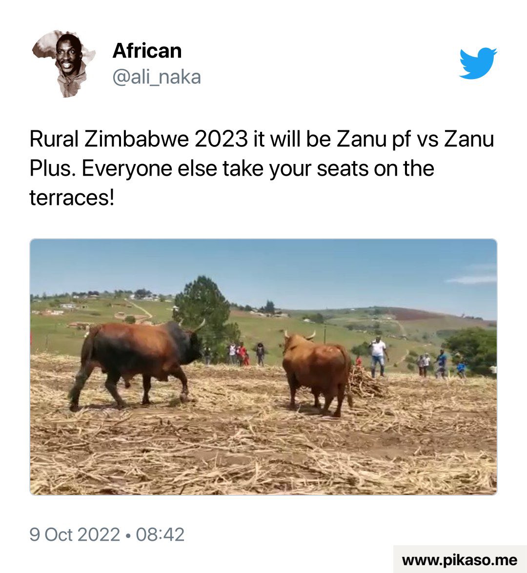 African on Twitter: "Short story !! https://t.co/MTOs2gIUtl" / Twitter