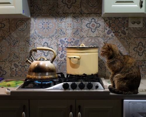 fleecy jumpers and fireplaces