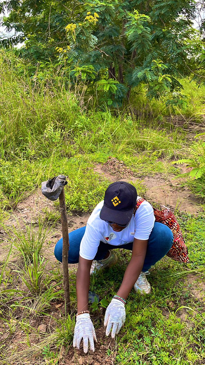GreenStewards1's tweet photo. As part of the  #Germandays2022 celebration, organized by the  @AHKGhana and the embassy Of the federal republic of Germany in Ghana. Our team joined and volunteered to  plant 1,500 tress to save the earth , our mother Ghana. 
“Climate change is everyone’s Concern” 

#trees https://t.co/Dr9rFCpXIF
