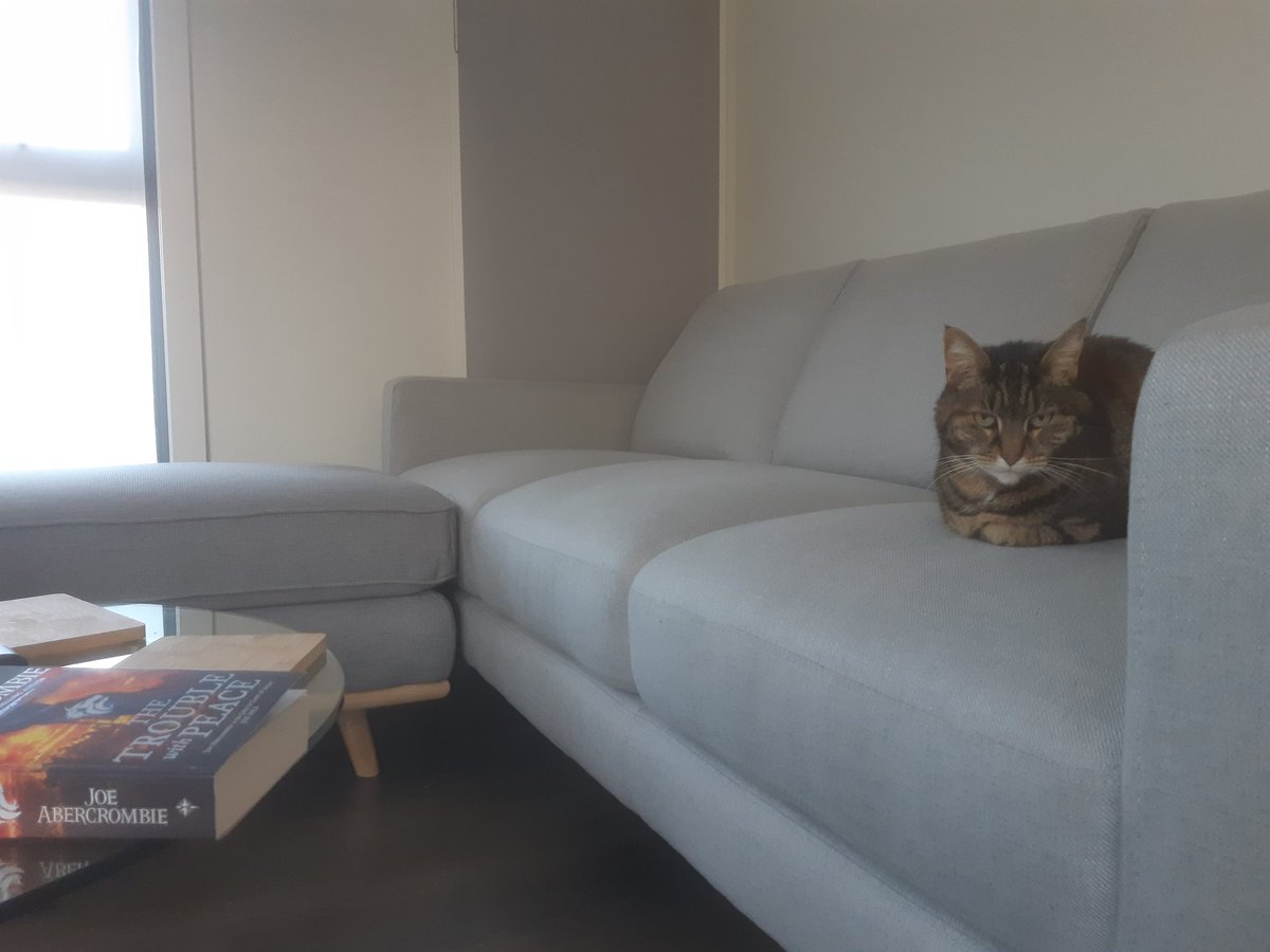 Christopher Ruz survived PAXAUS tweet media