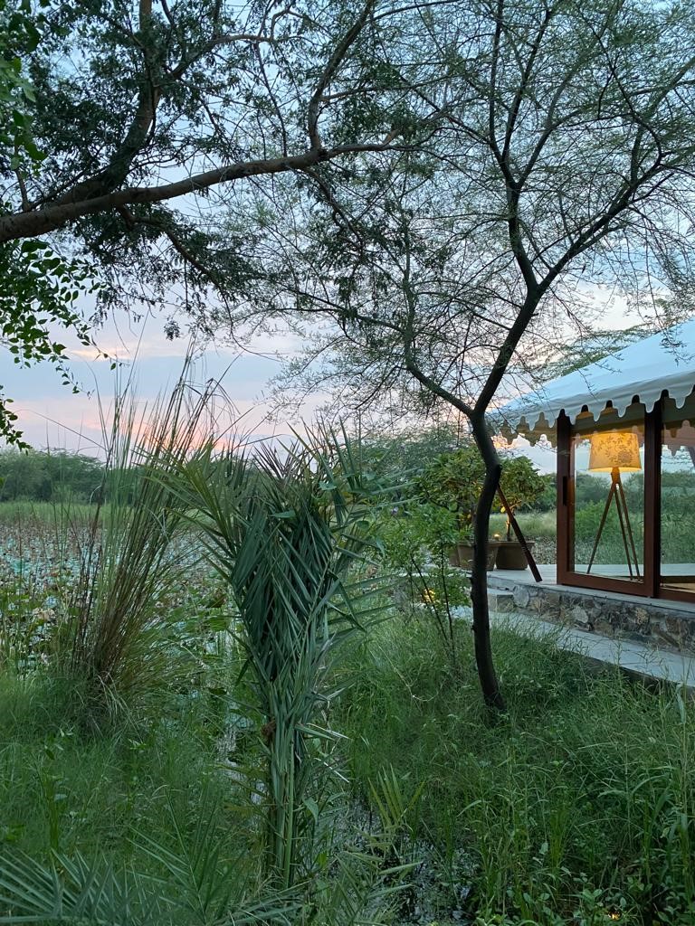 Was lovely to escape this weekend and enjoy the great hospitality and spectacular nature at The Blackbuck lodge in Gujarat. The excellent food, luxurious and sustainable accommodation and impressive wildlife on your doorstep makes for a truly magical experience.