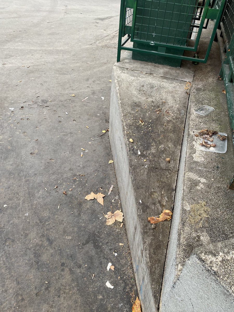 Clement_Le_roux's tweet photo. @Mairie10Paris bonjour, je dépose ma fille à la crèche ce matin et je slalome entre des pâquerettes et des pissenlits https://t.co/0ZMmPCPwsy
