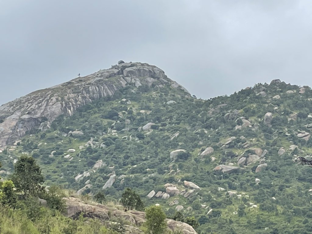 Jayalekha Ayyathan tweet media