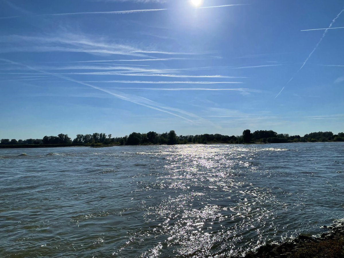 DriesEden's tweet photo. Ik wens iedereen een mooie #Maandag #Natuur #Waal #koffie #Nederland #Netherlands #Dutch #16gr ☀️ #Dodewaard #DeSnor https://t.co/jlfLFS9tTP