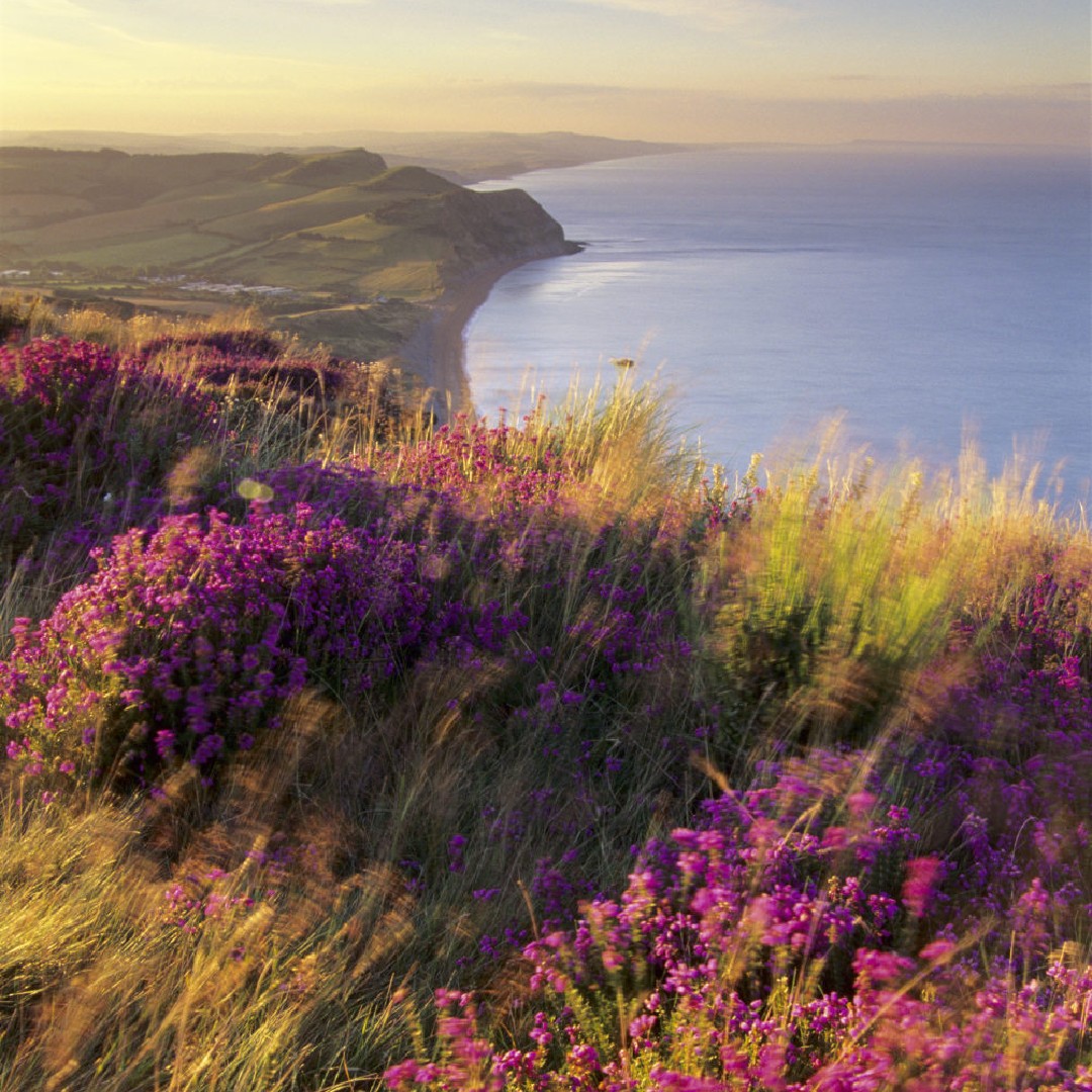 nationaltrust's tweet image. When was the last time you listened to the birds, felt the breeze on your skin or watched the sun filter through the trees?

Spending time in nature can improve mood and wellbeing, so head outdoors for a moment of peace this #WorldMentalHealthDay.