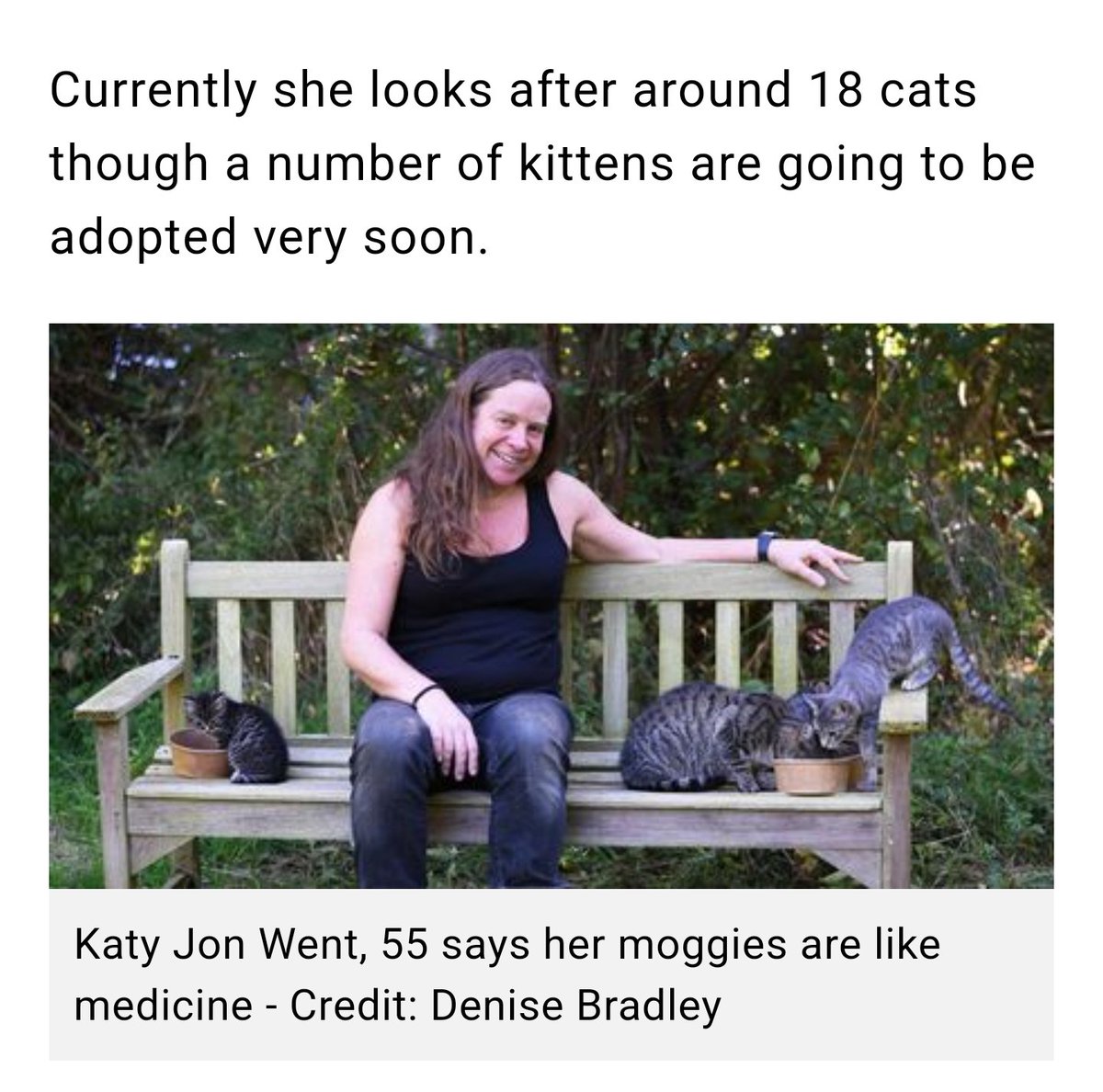katyjon's tweet photo. #MadCatPerson #CrazyCatLady of #Norwich
Thanks to Sophie for the fun interview, Denise for the fab pics &amp; #NorwichEveningNews readers for being kind, mostly. If you want to adopt a kitten or older cat check with local rescue centres #CatsofTwitter https://t.co/pVtdaqrEoK https://t.co/Y3Kf8ecteL