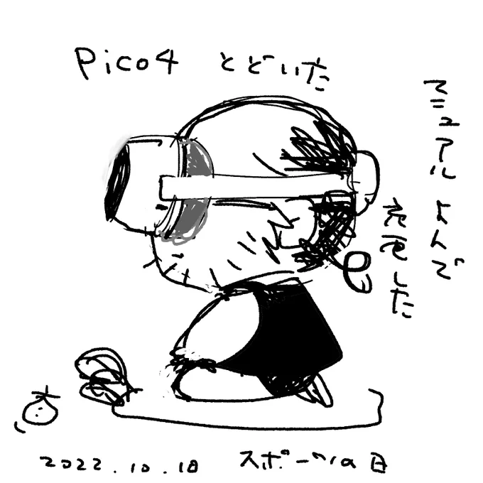 注文してた PICO 4 届きました。

これから使い方を覚えます〜 