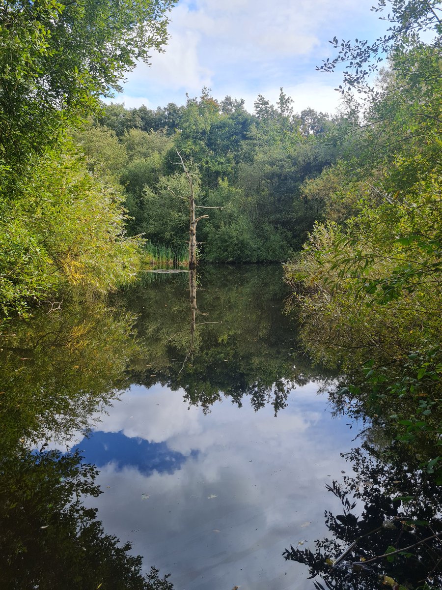 The Parks Management Association tweet media