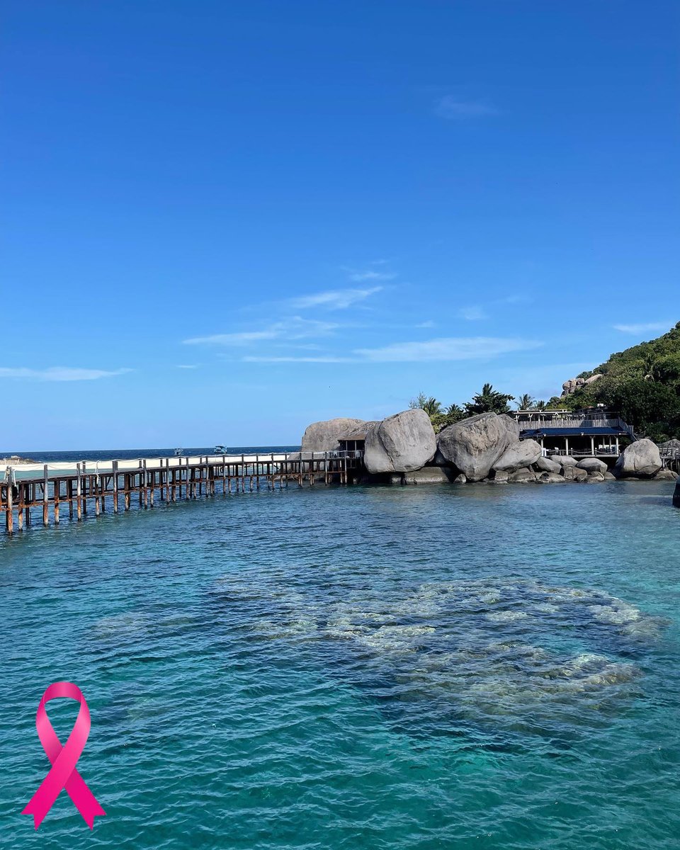 tat_india's tweet photo. From white sands to serenity, breathtaking exotic views to water adventures, Kho Tao is great even for those who do not prefer diving. @princepariharr please tell us you did not miss the ‘whale skeleton’ north of Sairee Beach!

#Thailand #ThailandIndia #AmazingThailand https://t.co/gNYBkpG3oc