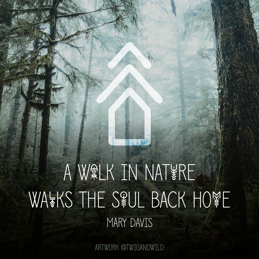 twigandwild's tweet photo. “A walk-in in nature walks the soul back home.” ~ Mary Davis https://t.co/ickzzTufoz