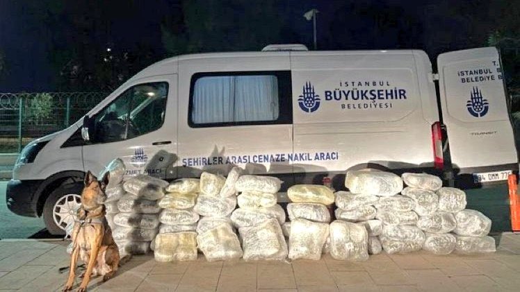Drr_Nilay's tweet photo. Sn Ekrem İmamoğlu bunlar pudra şekeri mi? https://t.co/kcYplLd3Qy