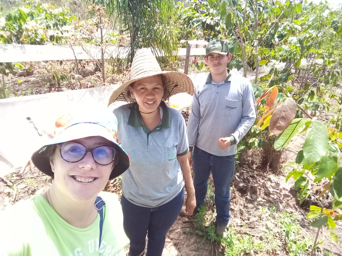 JoGuillemot's tweet photo. Some new science going on in our #MataDIV experiment in #Brazil for the @MixForChangeTDN project! @AgnRobin is coordinating the start of a number of protocols on the effects of tree diversity on decomposition, growth, above and below ground microbiota. Go, Go, Go! #BEF https://t.co/uSUyHeWhy2