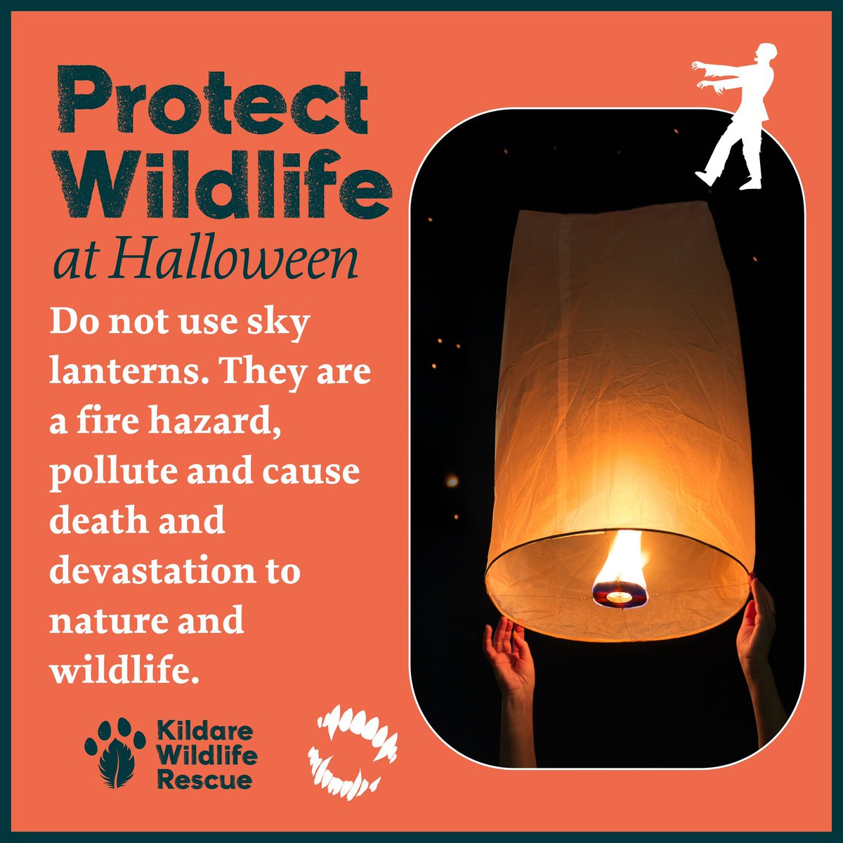 WildlifeKildare's tweet photo. This Halloween we hope to raise awareness of how some of our traditions affect the Wildlife around. 

What changes can you make to ensure a safer Halloween in your surrounding area?

#wildlifeawareness #wildliferescue #irishwildlife 
#kildarewildliferescue #Halloween https://t.co/QnOZDfe2mW