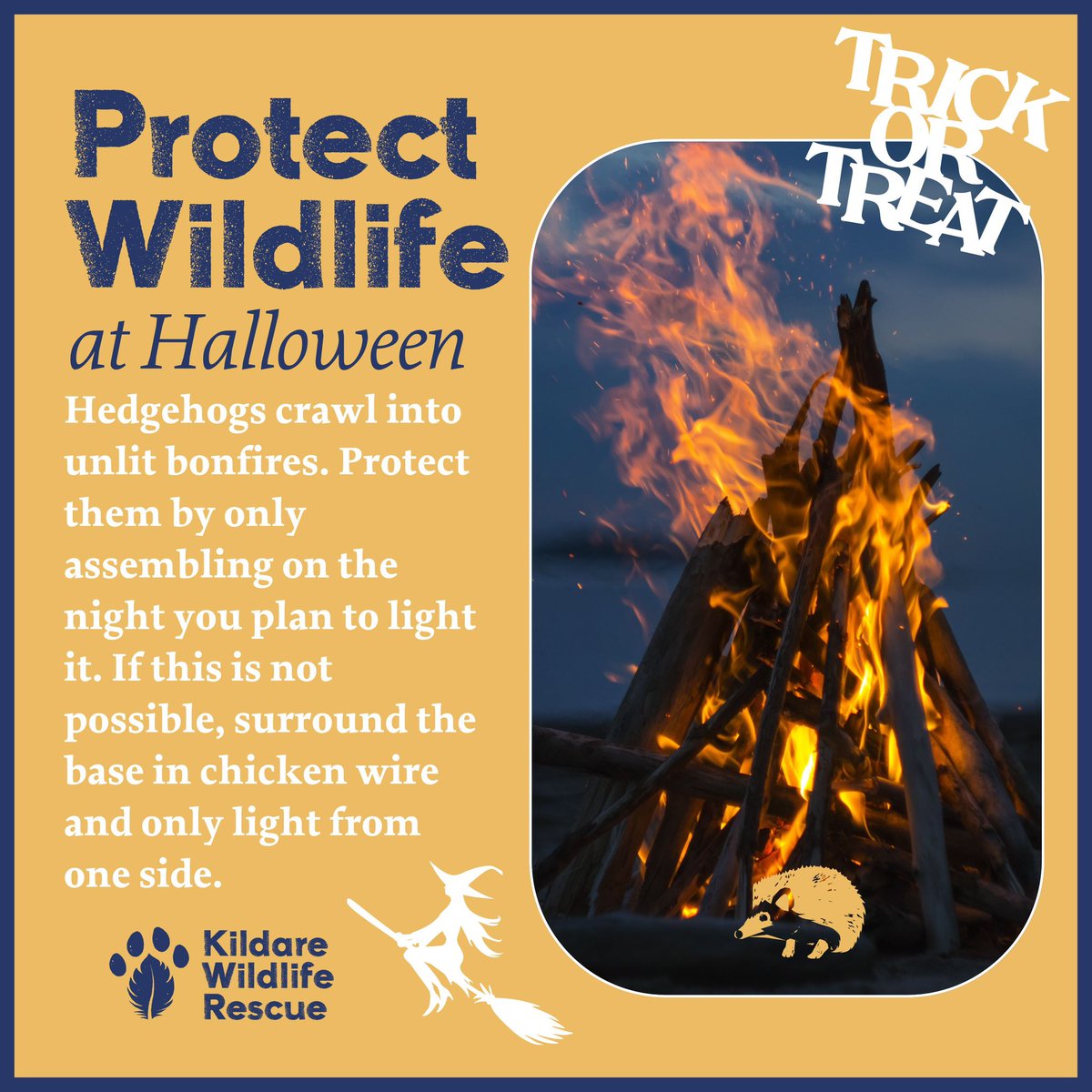 WildlifeKildare's tweet photo. This Halloween we hope to raise awareness of how some of our traditions affect the Wildlife around. 

What changes can you make to ensure a safer Halloween in your surrounding area?

#wildlifeawareness #wildliferescue #irishwildlife 
#kildarewildliferescue #Halloween https://t.co/QnOZDfe2mW