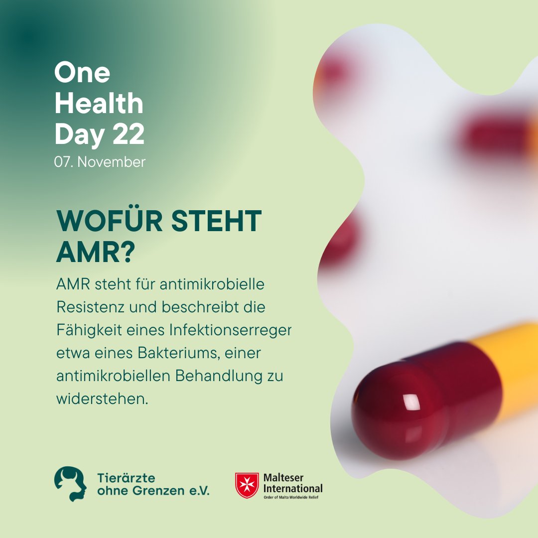 ToGeV's tweet photo. Wusstest Du, dass in der EU jÀhrlich ca. 670.000 Menschen an Infektionen durch antibiotika-resistente Erreger erkranken und ca. 33.000 Menschen pro Jahr daran versterben?
#OneHealthDay2022 #OHD22 #OneHealth #tierÀrzteohnegrenzen #togev #vsfg #malteserinternational #AMR https://t.co/kqJk14NGfi