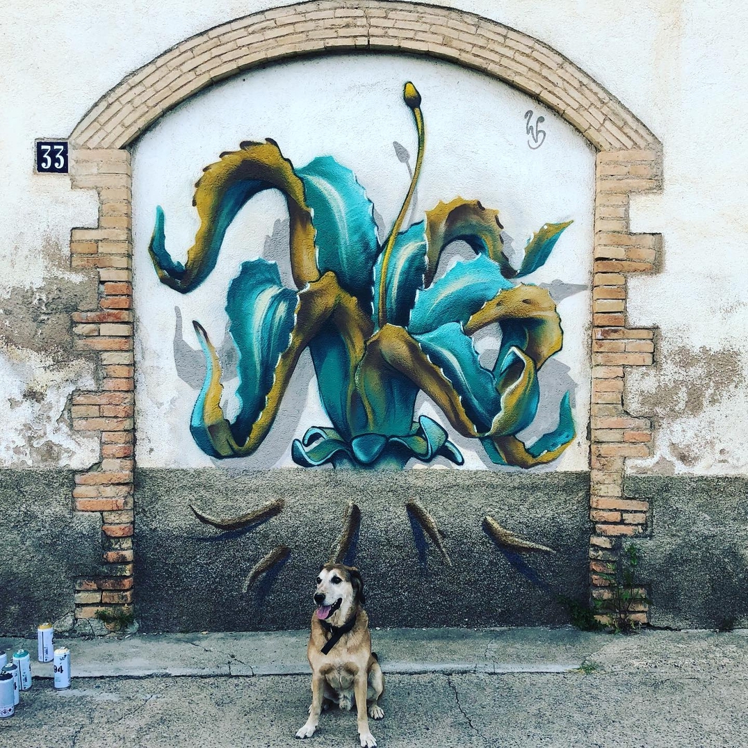 brababella's tweet photo. #Streetart by #WERENS @ #MonistrolDeCalders, Spain, for #MurMursArtMural
More info at: https://t.co/Rga7CnCG8v
#streetartMonistrolDeCalders #streetartSpain #spainstreetart #arteurbana #urbanart #murals #muralism #contemporaryart #artecontemporanea https://t.co/5hBd5C2OY6