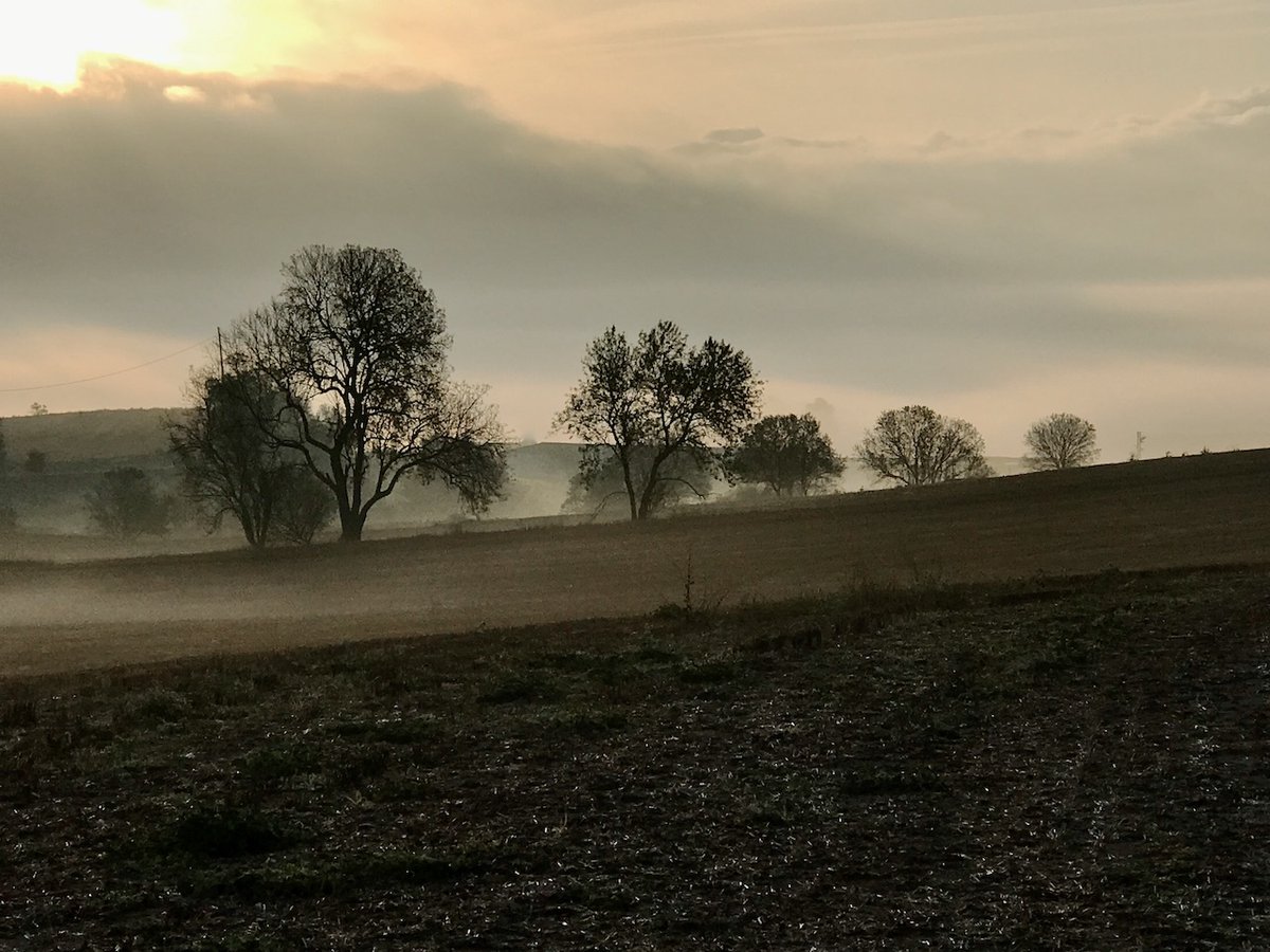 Baixa Segarra
#segarrejant
#goodmorning #Countryside #Catalonia #landscapes #magradaelmeupaís
<a href="/segarrejant/">segarrejant</a> <a href="/finslagorra_1/">finslagorra ||*|| SÍ</a> <a href="/jolival65/">JOliva||*||</a> <a href="/montserumbau/">montserrat rumbau</a> <a href="/martapontnou/">MARTA PONTNOU</a> <a href="/salvad_m/">RosamSal ||⭐|| 🏴󠁧󠁢󠁥󠁮󠁧󠁿#Jo soc CDR# *CxR*</a> <a href="/martalbareda/">Marta Albareda Valls</a> <a href="/jordicodol/">Jordi Còdol Montagut</a> <a href="/betaltarriba/">Bet Altarriba</a> <a href="/mccorominas/">Carme Corominas</a>  <a href="/cantireta/">Montserrat Aloy 💬✏📕 🎭🇺🇦</a> <a href="/xatoQuico/">Xato Quico Tram 37</a> <a href="/Ifarre2/">Imma</a> <a href="/CanelaBalsebre/">rosa canela</a>