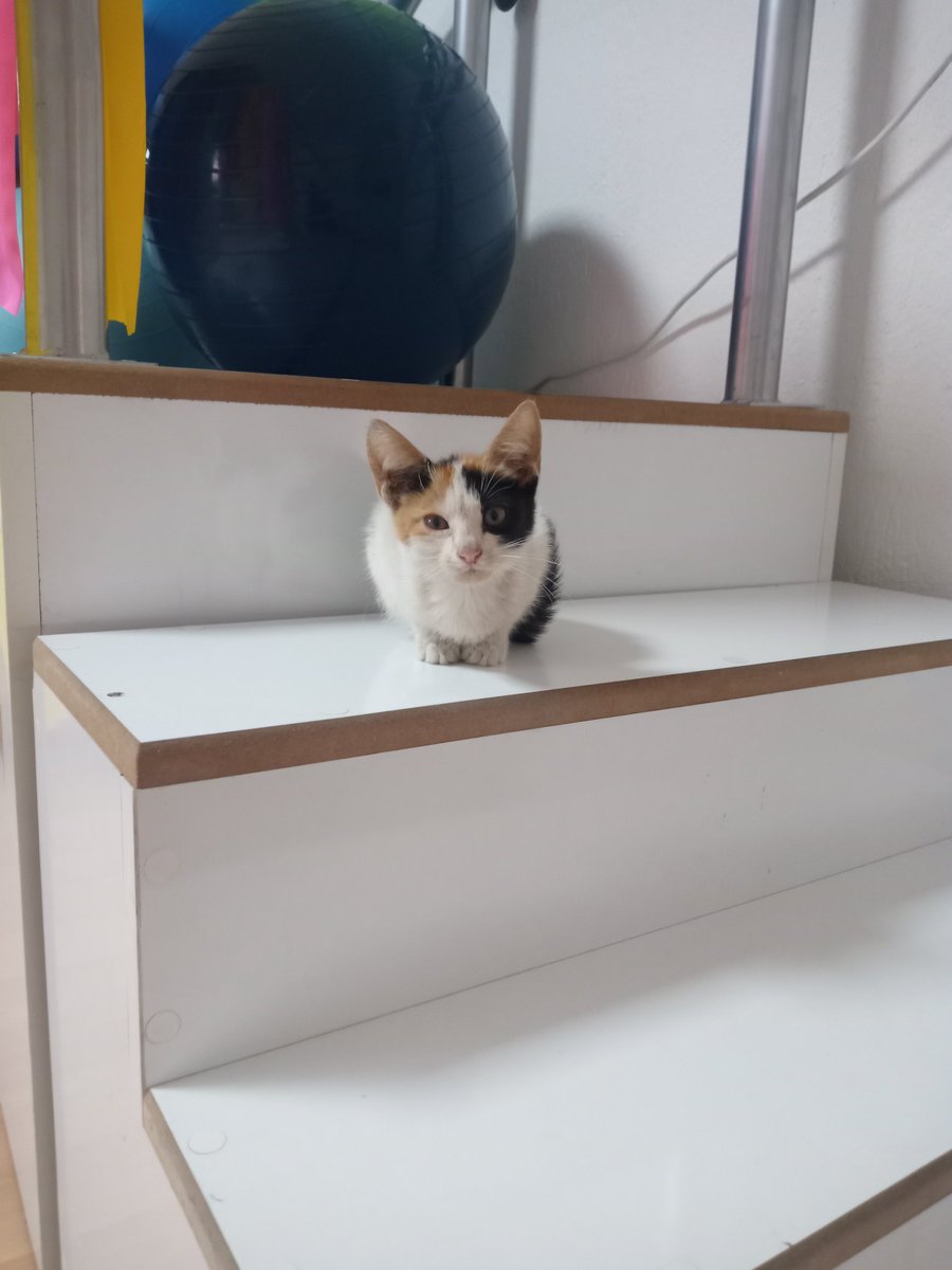 doganayse94's tweet photo. Minnak hastama bakın. Oyun terapisine gelmiş. 😍 https://t.co/wc9YNSBSvA