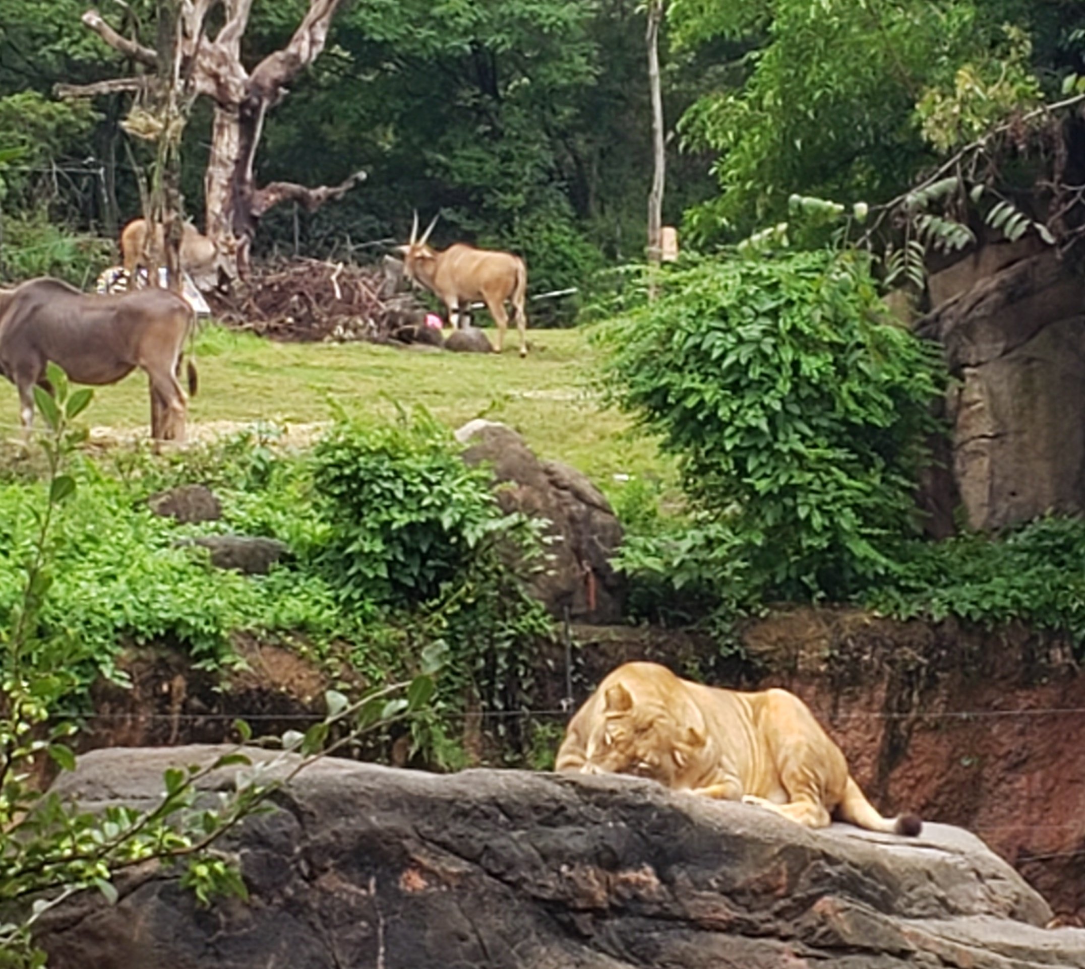 公式 ナチュラル スタイルの婚活パーティー オンライン婚活 Naturalstyle Twitter