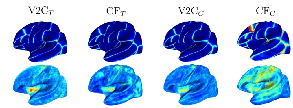 Cortex reconstruction and parcellation have so far been done separately. We investigated the joint Reconstruction and Parcellation. Interestingly, parcellation accuracy improved with the joint approach but not reconstruction. arxiv.org/abs/2210.01772