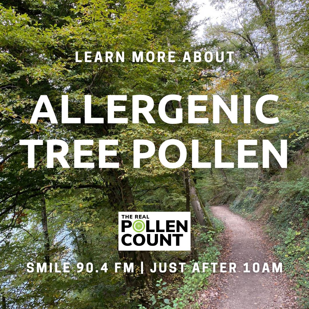 realpollencount's tweet photo. We are still in the Tree Pollen Season here in #SouthAfrica. Catch Prof @JonnyPeter7 chatting to @mienkevrooyen on @Smile904FM this morning just after 10am to learn more about Oak Pollen allergies.
#pollenseason #pollencount #allergies #allergyseason #allergicrhinitis #hayfever https://t.co/IjkHCyII5I