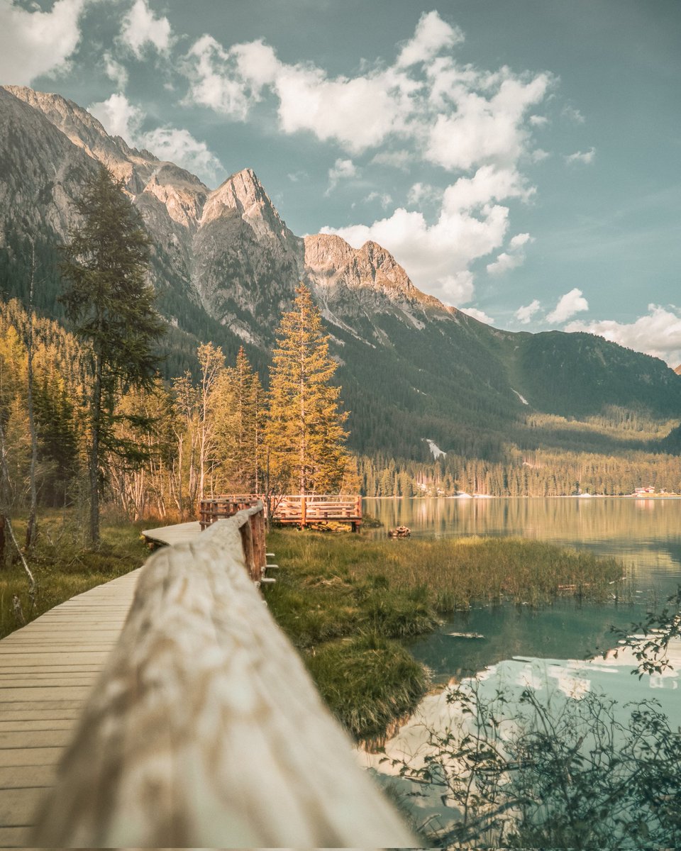 Luca__Ramble's tweet photo. Lago di Anterselva 🇮🇹
#ourplanetdaily #folkmagazine #folkscenery #moodygram #moodygrams #igmasters #openmyworld #stayandwander #folkgreen #wildernessculture #folkvibe #welcomenature #hiking #naturephotography #neverstopexploring #exploremore #southtyrol #visititaly #dolomites https://t.co/37FzNHjg9N