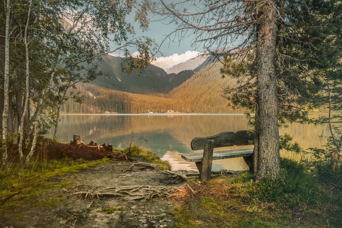 Luca__Ramble's tweet photo. Lago di Anterselva 🇮🇹
#ourplanetdaily #folkmagazine #folkscenery #moodygram #moodygrams #igmasters #openmyworld #stayandwander #folkgreen #wildernessculture #folkvibe #welcomenature #hiking #naturephotography #neverstopexploring #exploremore #southtyrol #visititaly #dolomites https://t.co/37FzNHjg9N