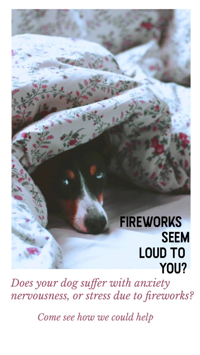 Did you know we can help to reduce the stress &amp; anxiety that fireworks and bonfire night can cause you and your fur baby?
To get yours in time before the dreaded firework season starts, 
simply click on the link below
pawfectscents.co.uk/shop/ols/produ…
