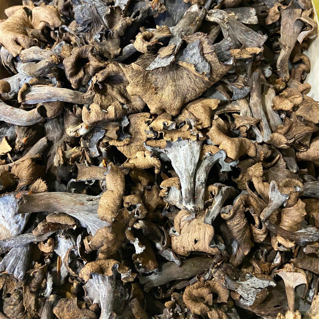 boletsdemenorca's tweet photo. 🍄BOLETS DE TEMPORADA🍄

📝La TROMPETA DE LA MUERTE (craterellus cornucopioide) destaca por ser una de las setas más sabrosas y aromáticas del mercado.

📱Mándanos un whatsapp al 689 789 530 y apúntate a la lista para conocer la disponibilidad semanal https://t.co/Oi6iA1ZUjm