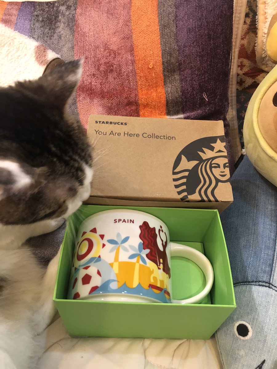 emineco's tweet photo. お土産をもらった。めっちゃ嬉しい💝
めっちゃすりすりしてる🐱 https://t.co/aEkw1eGjxa