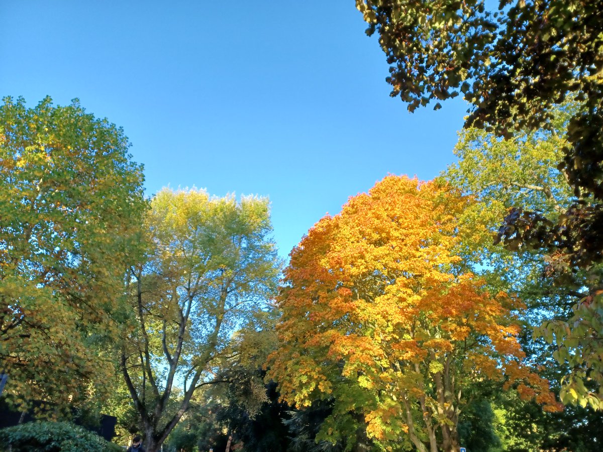 Music at Brookes tweet media