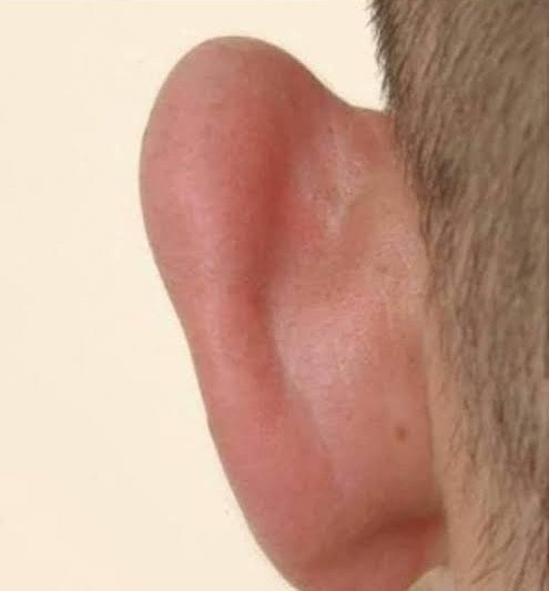 Lefkoşe Büyükelçiliği