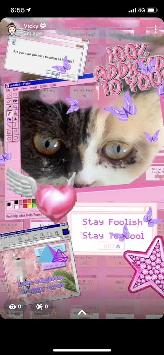 <a href="/toocoolXcat/">TooCool Dolander ✨</a> @toocoolMonday🤪🤪A lovely cat I met today. #NFTCommumity