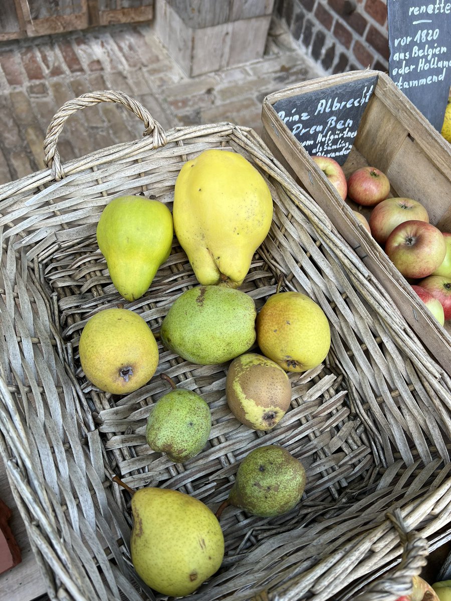 applebiome tweet media