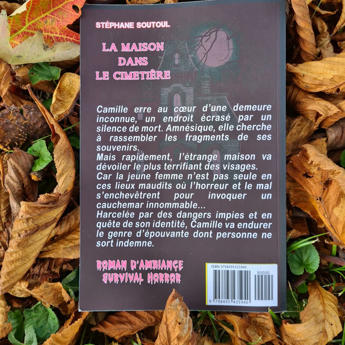 Envie d'une lecture à l'ambiance inquiétante et pleine de frissons en cette période d'halloween ? Mon roman d'horreur La maison dans le cimetière est disponible en format papier et numérique sur <a href="/AmazonKindle/">Kindle</a> 🎃
#fantastique #livre #litterature #amazon #amazonkindle #halloween