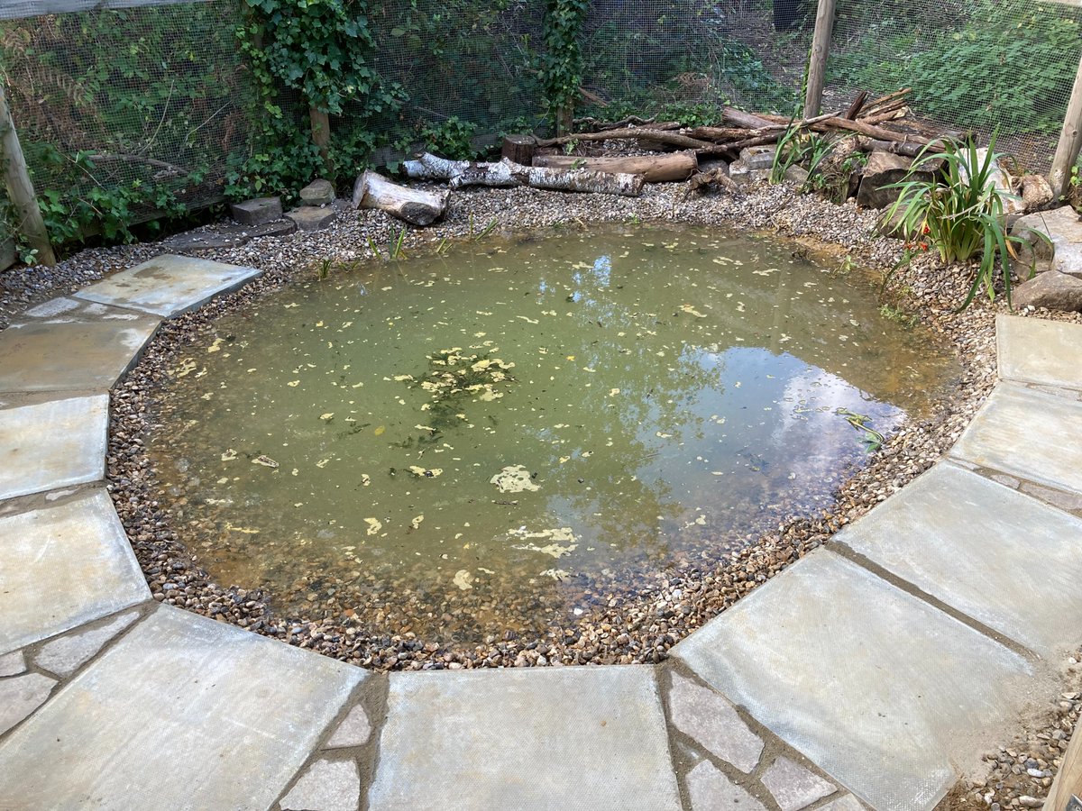 Lambeth TCV tweet media