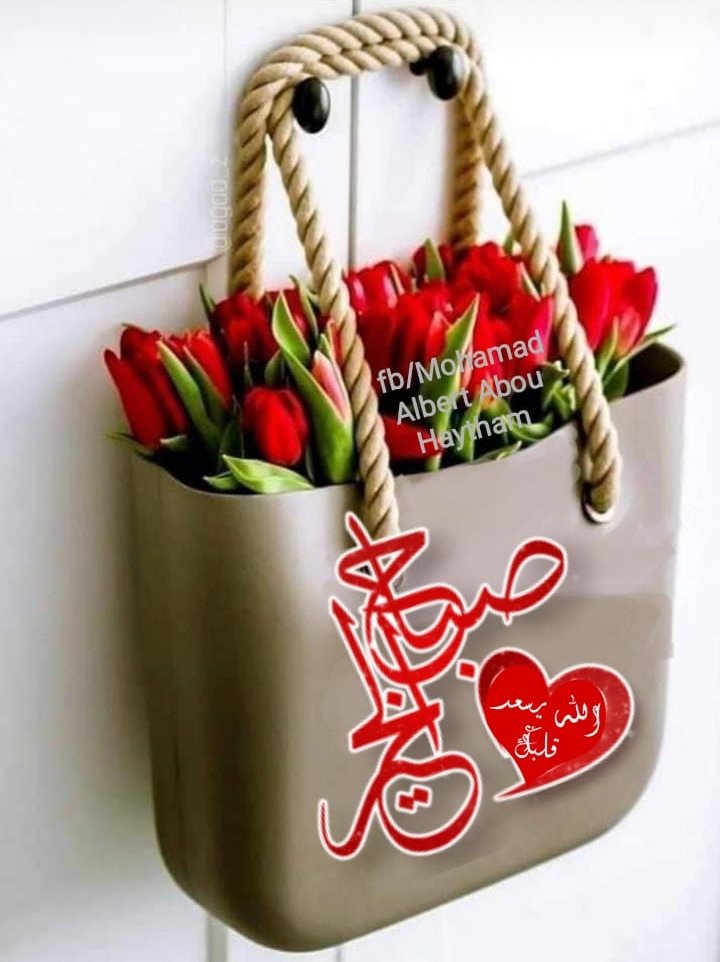 HneineMahmoud's tweet photo. @mrmh31717204 @salmaelsayd74 https://t.co/ggCdQo1MOl