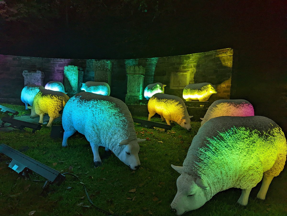 northeastmum's tweet photo. Loved how art brings Northumberland's history to life with a splash of colour #Housesteads #Vindolanda #Lindisfarne #findtheflock 🐑 https://t.co/LCmL5nNqq3