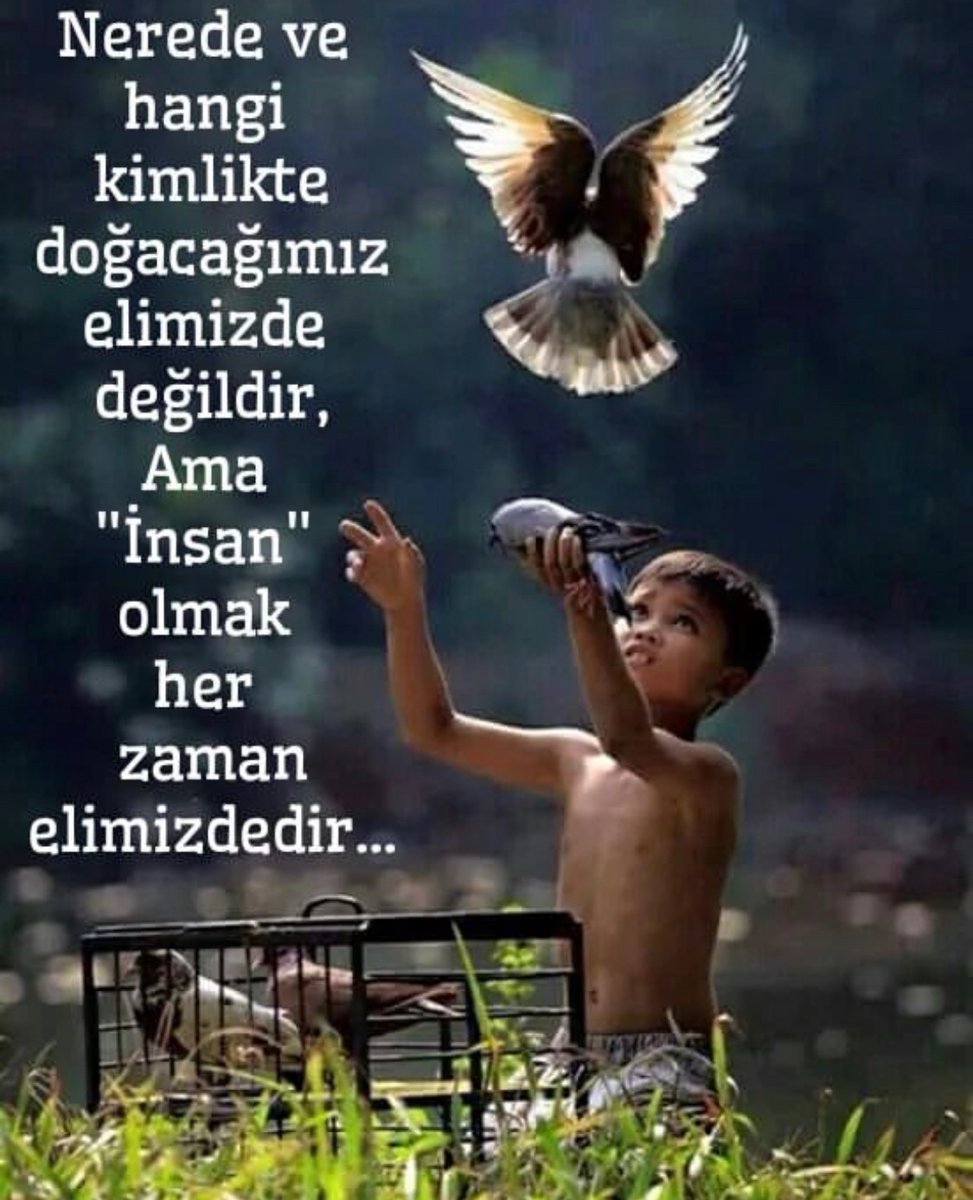 #Günaydın insan olabilenlere 🌱☀️🕊️