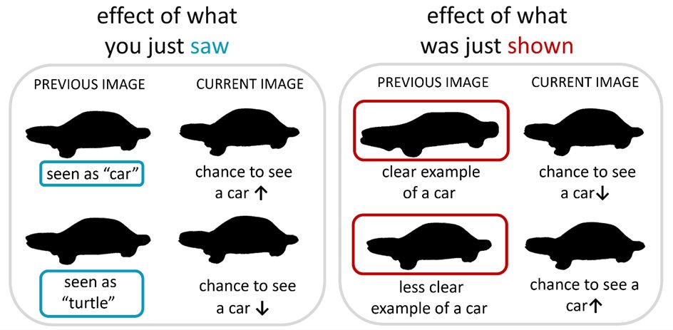 Eline__VG's tweet image. When we have no internal #referencepoints📍available 
(for a set of unfamiliar shapes for example), 
we use the immediate context🙆
in 2️⃣ different ways:

✔️we more often see what we *saw* just before
✔️we less often see what was *shown* just before

But does everyone? (9/n)