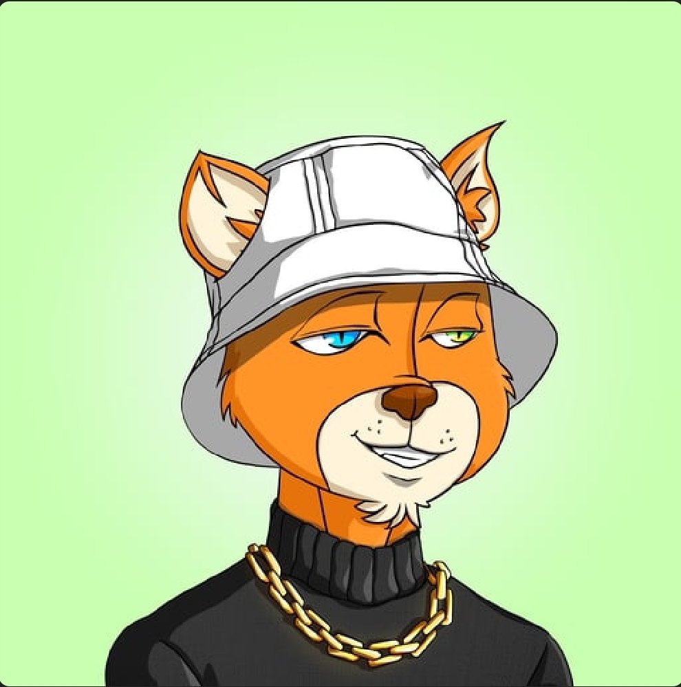 GM, whoever accepted my bid for 4.9sol, IM GRATEFUL, beyond grateful. 
unbelievable! 🤙🐈🤙⚡️
<a href="/RadCatsNFT/">RadCats™️</a> 
#LFR 
<a href="/GiorgioGiovanii/">fang</a> <a href="/Marcel__140/">Marcel140 | Gambulls.com</a> <a href="/rumpti/">Rumpti</a> <a href="/HeyItsMrX/">Mr. 𝕏</a> 
you guys are the best. ✨️
Thankyou for helping me getting this. 🙏 Time to change the pfp on dc.